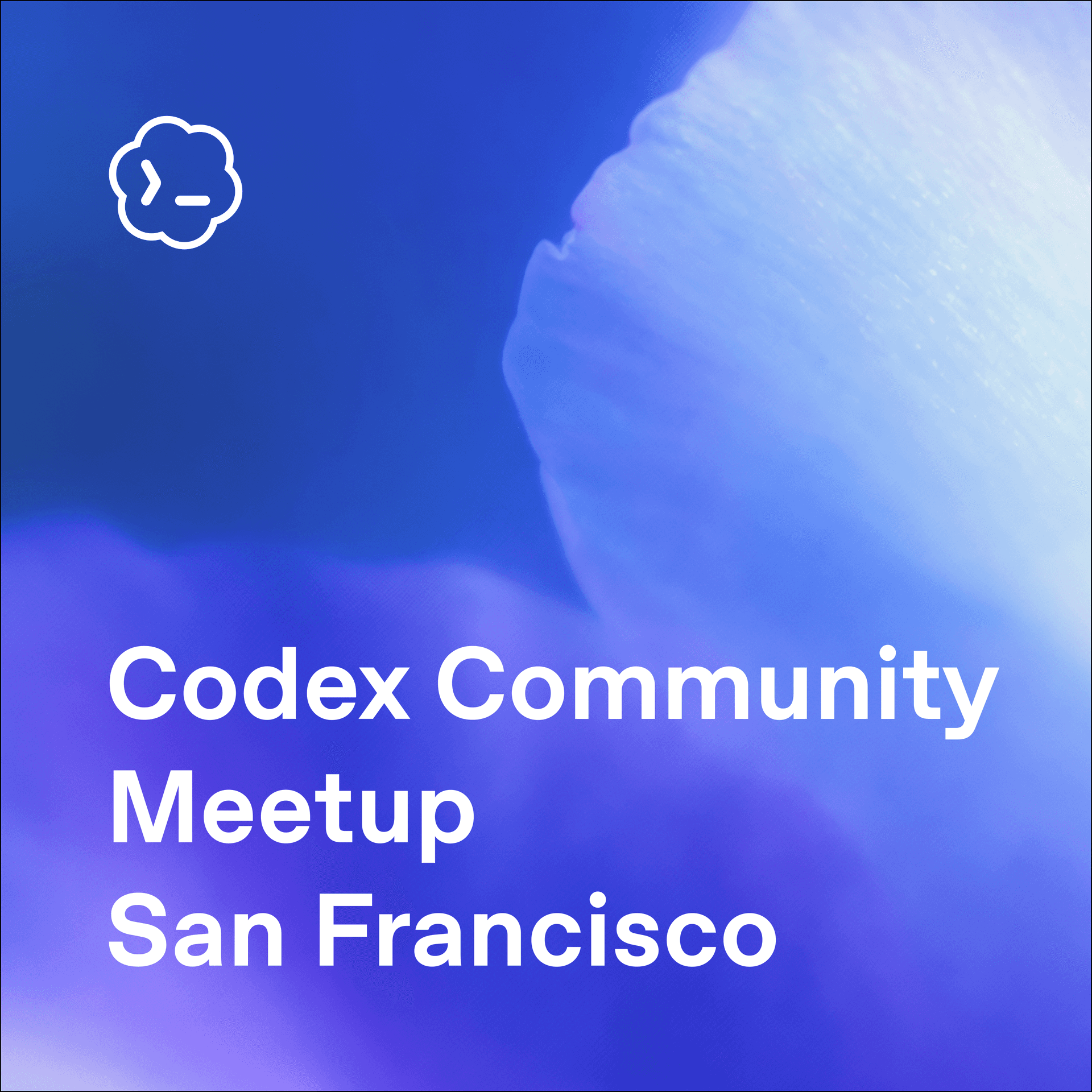 Codex Community Meetup - San Francisco cover art