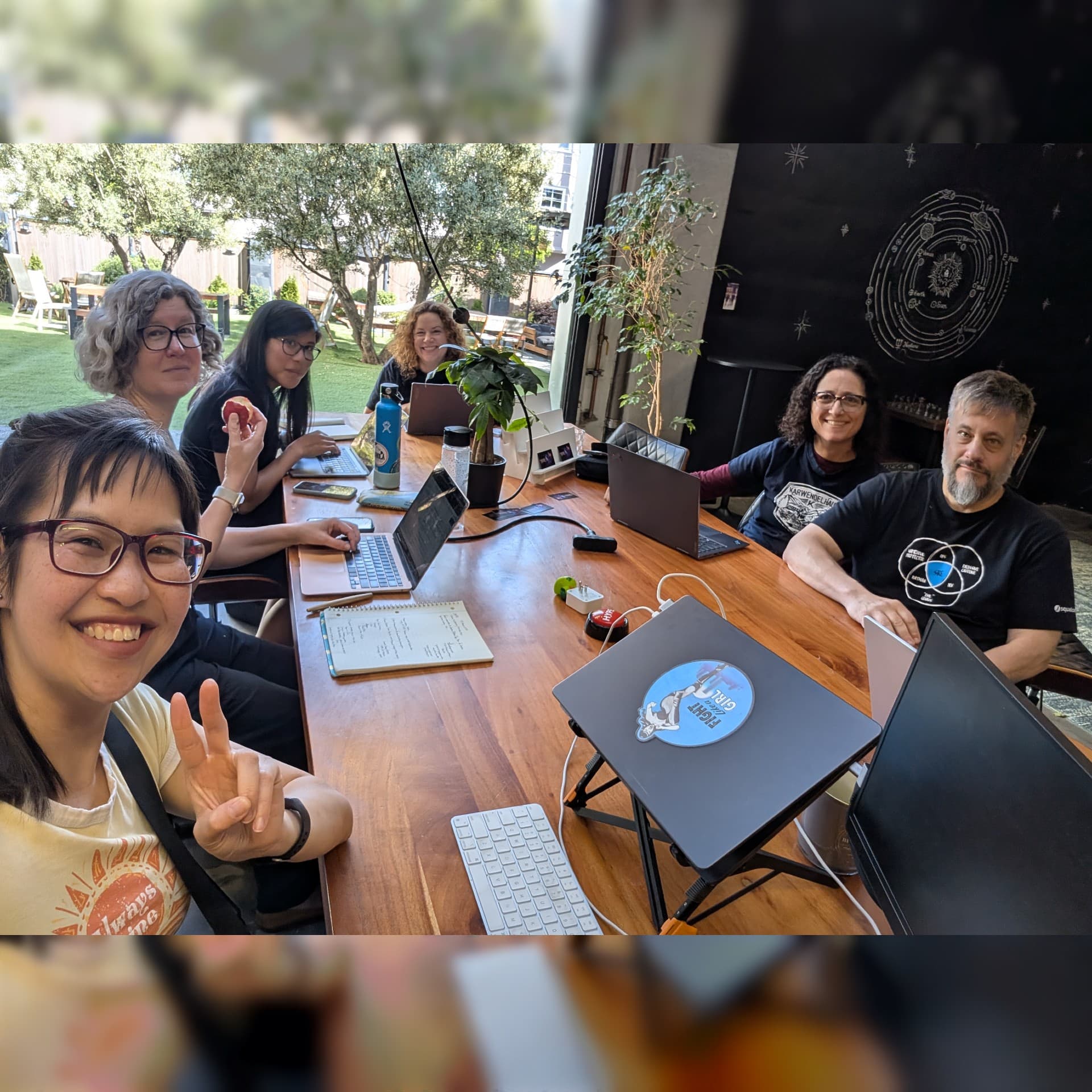 LWVSF member co-working cover art