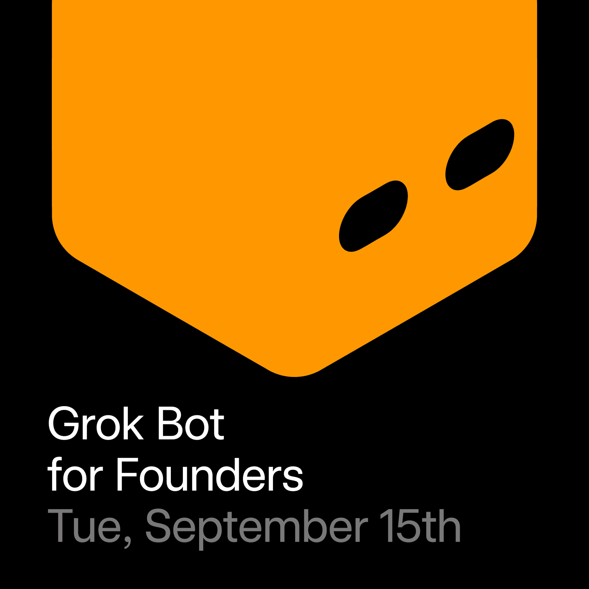 Grok Bot for Founders cover art